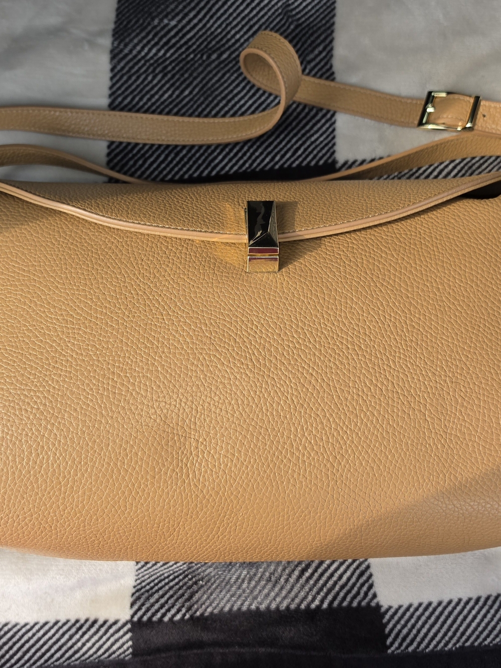 Viola Castellani Leather Crossbody Bag in Tan